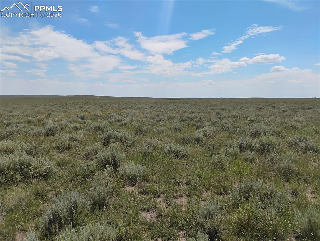 20370 Squirrel Creek Road Colorado Springs CO 80928