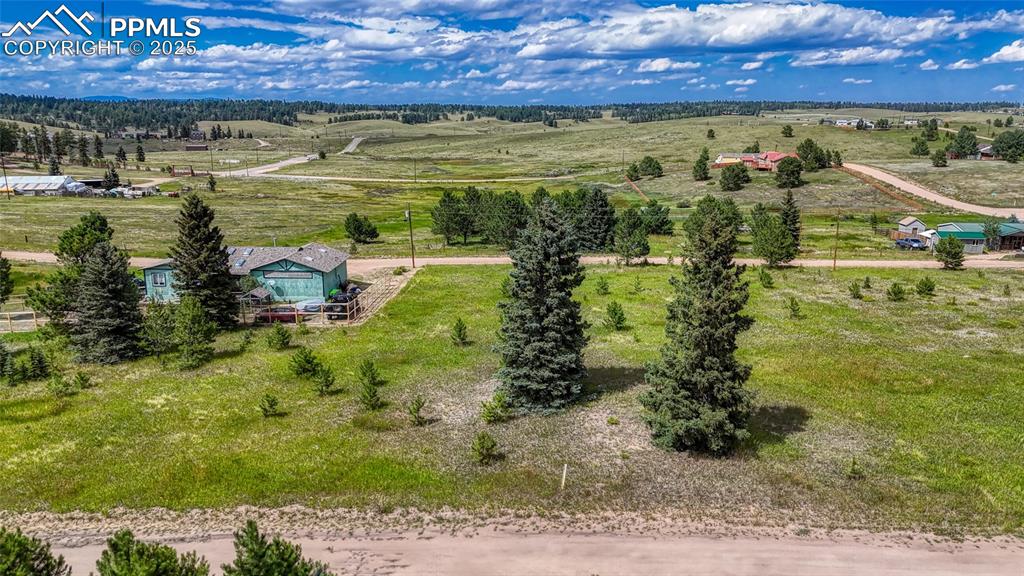 1129 Will Scarlet Drive Divide CO 80814