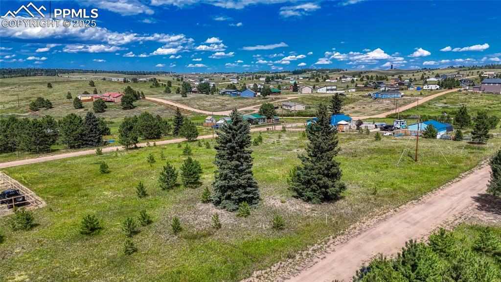 1129 Will Scarlet Drive Divide CO 80814