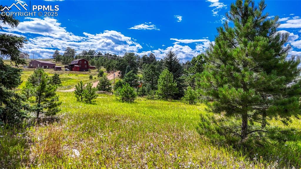 1129 Will Scarlet Drive Divide CO 80814