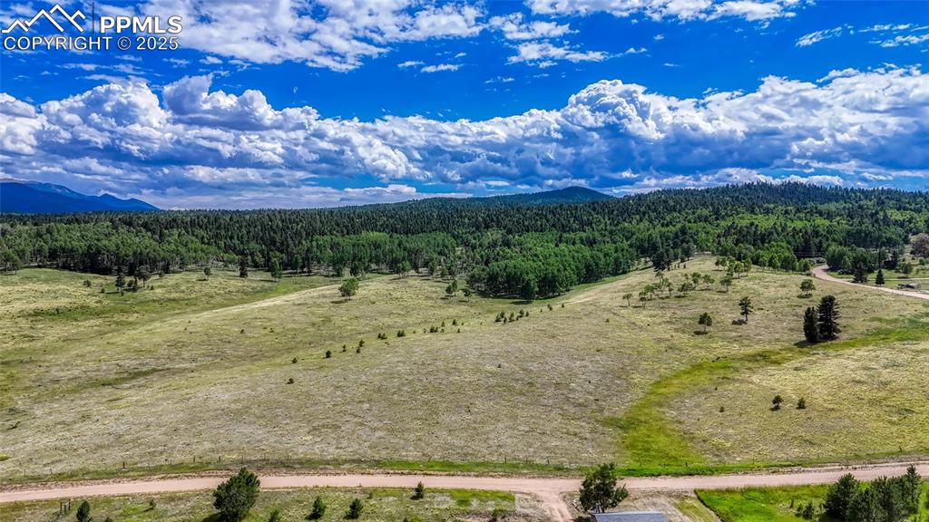 1129 Will Scarlet Drive Divide CO 80814