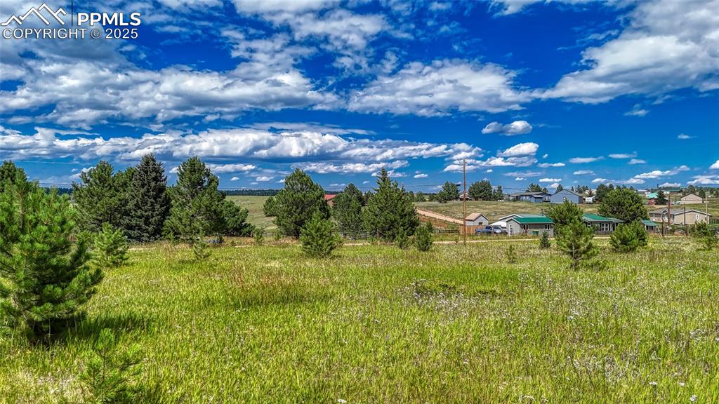 1129 Will Scarlet Drive Divide CO 80814