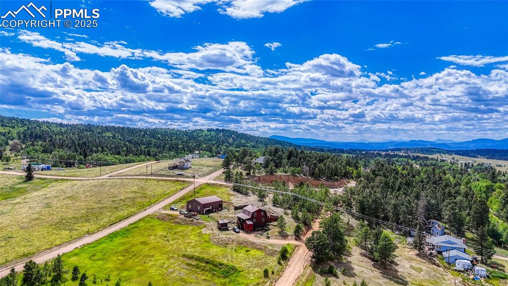 1129 Will Scarlet Drive Divide CO 80814