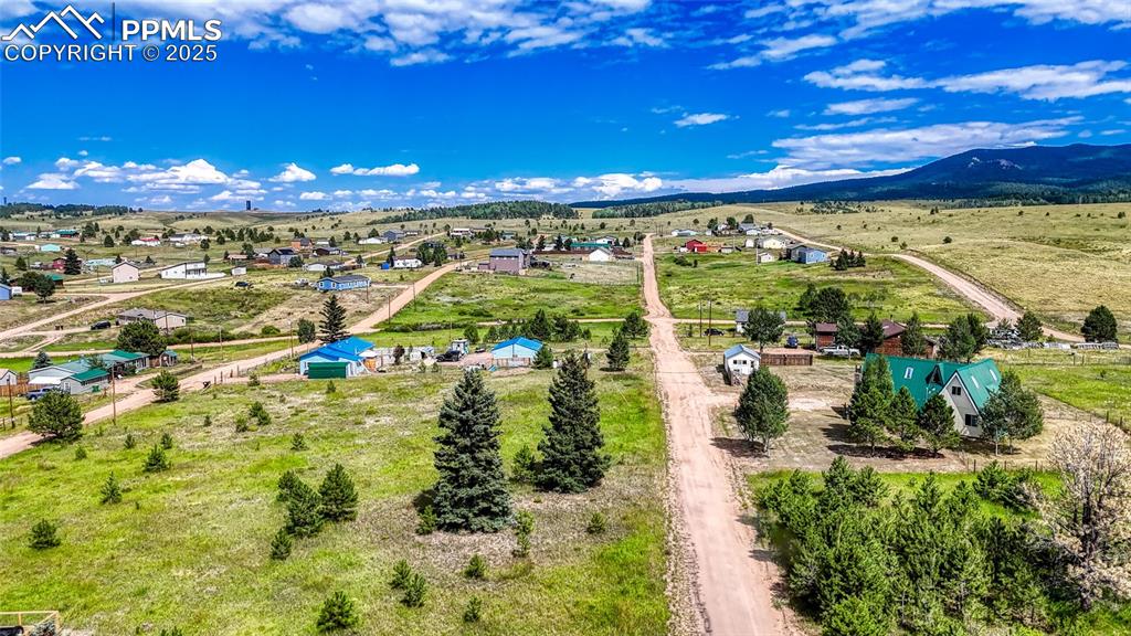 1129 Will Scarlet Drive Divide CO 80814