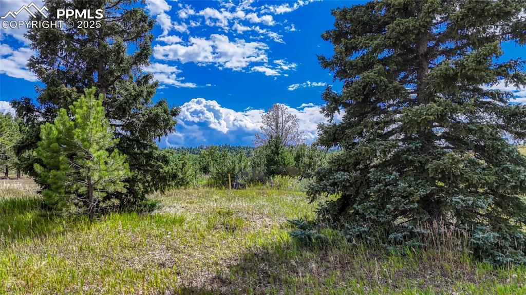 1129 Will Scarlet Drive Divide CO 80814