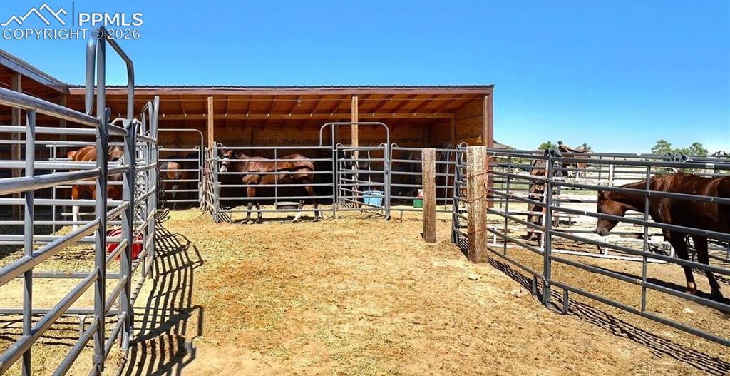 20745 Silverado Hill View Colorado Springs CO 80928