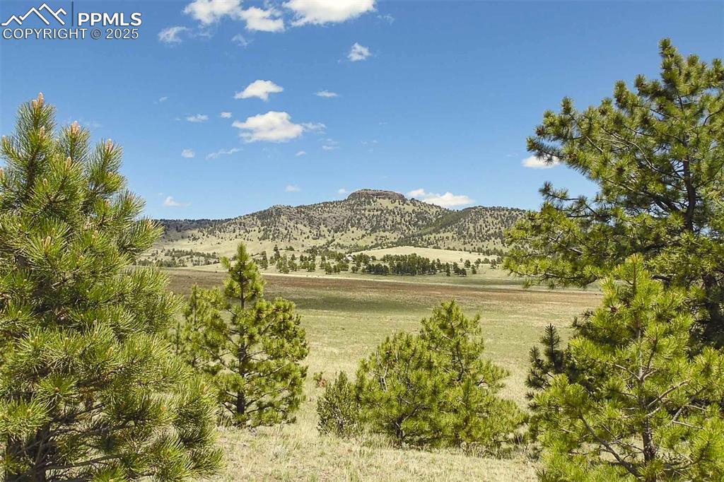 129 Eagle Nest Trail Guffey CO 80820