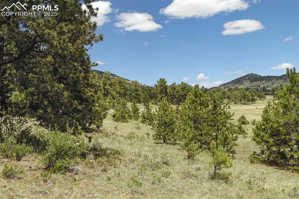 129 Eagle Nest Trail Guffey CO 80820