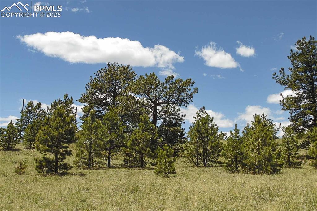 129 Eagle Nest Trail Guffey CO 80820