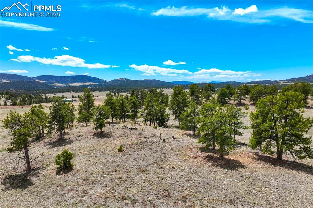 129 Eagle Nest Trail Guffey CO 80820