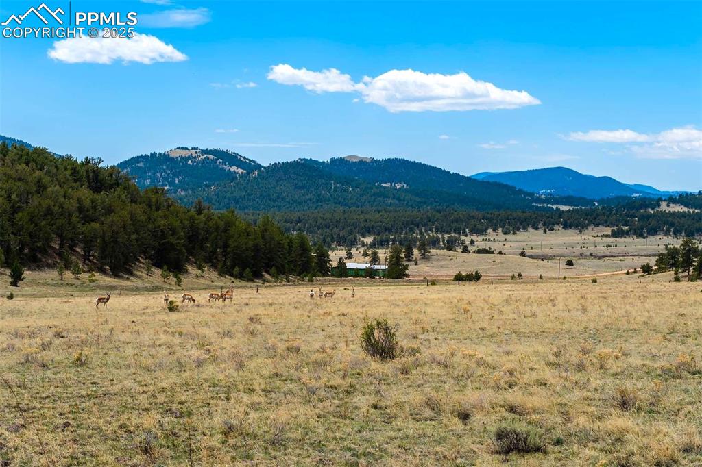 129 Eagle Nest Trail Guffey CO 80820