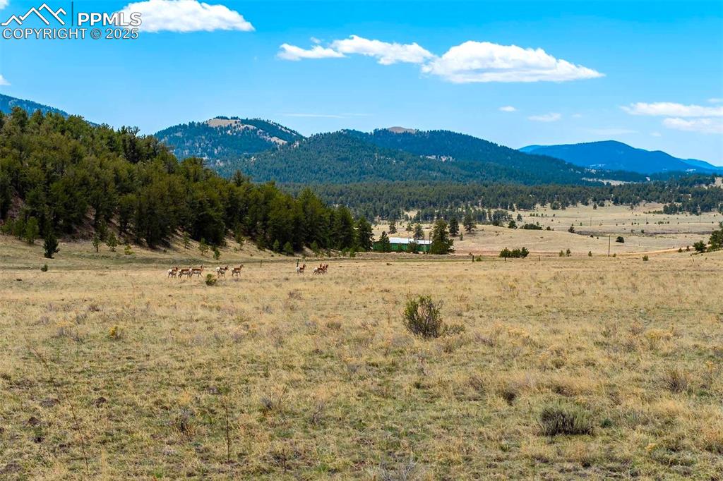 129 Eagle Nest Trail Guffey CO 80820