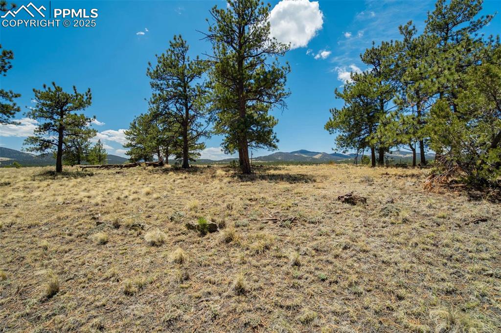 129 Eagle Nest Trail Guffey CO 80820