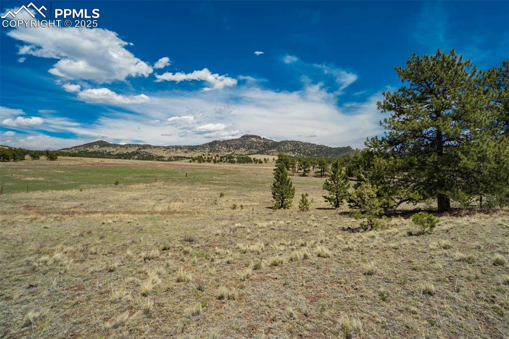 129 Eagle Nest Trail Guffey CO 80820