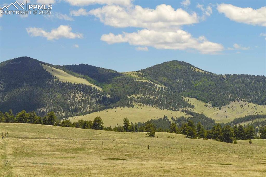 129 Eagle Nest Trail Guffey CO 80820