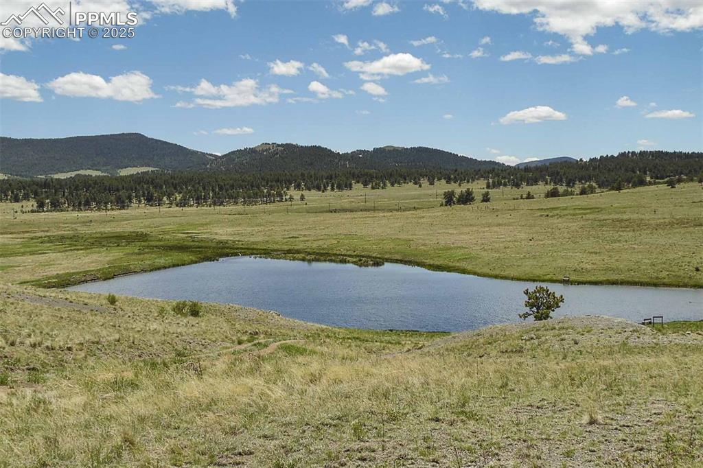 129 Eagle Nest Trail Guffey CO 80820