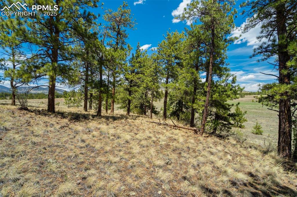 129 Eagle Nest Trail Guffey CO 80820