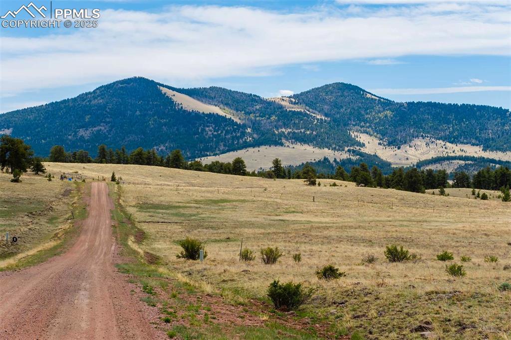 129 Eagle Nest Trail Guffey CO 80820