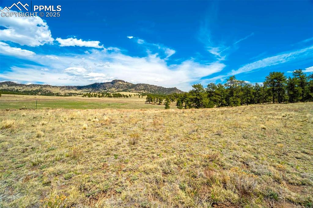 129 Eagle Nest Trail Guffey CO 80820