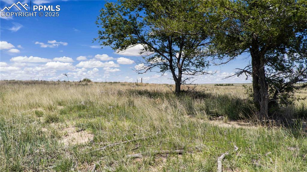 39320 Truckton Road Rush CO 80833
