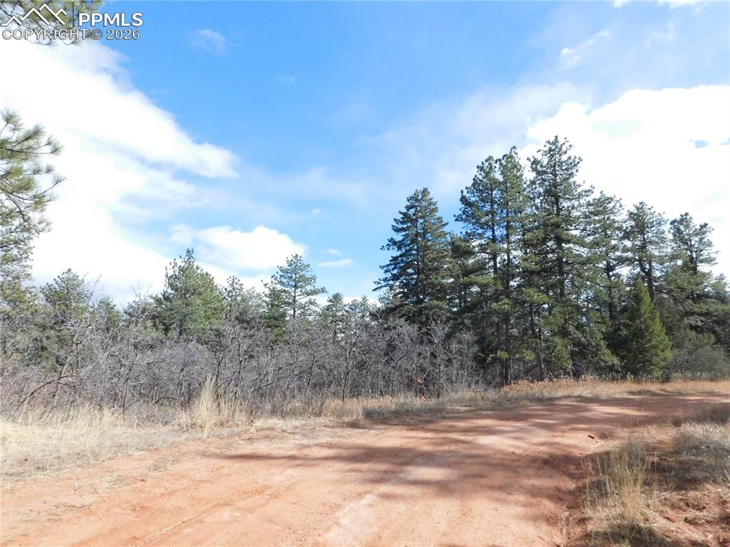 8122 Acoma Drive Larkspur CO 80118