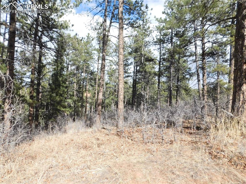 8122 Acoma Drive Larkspur CO 80118