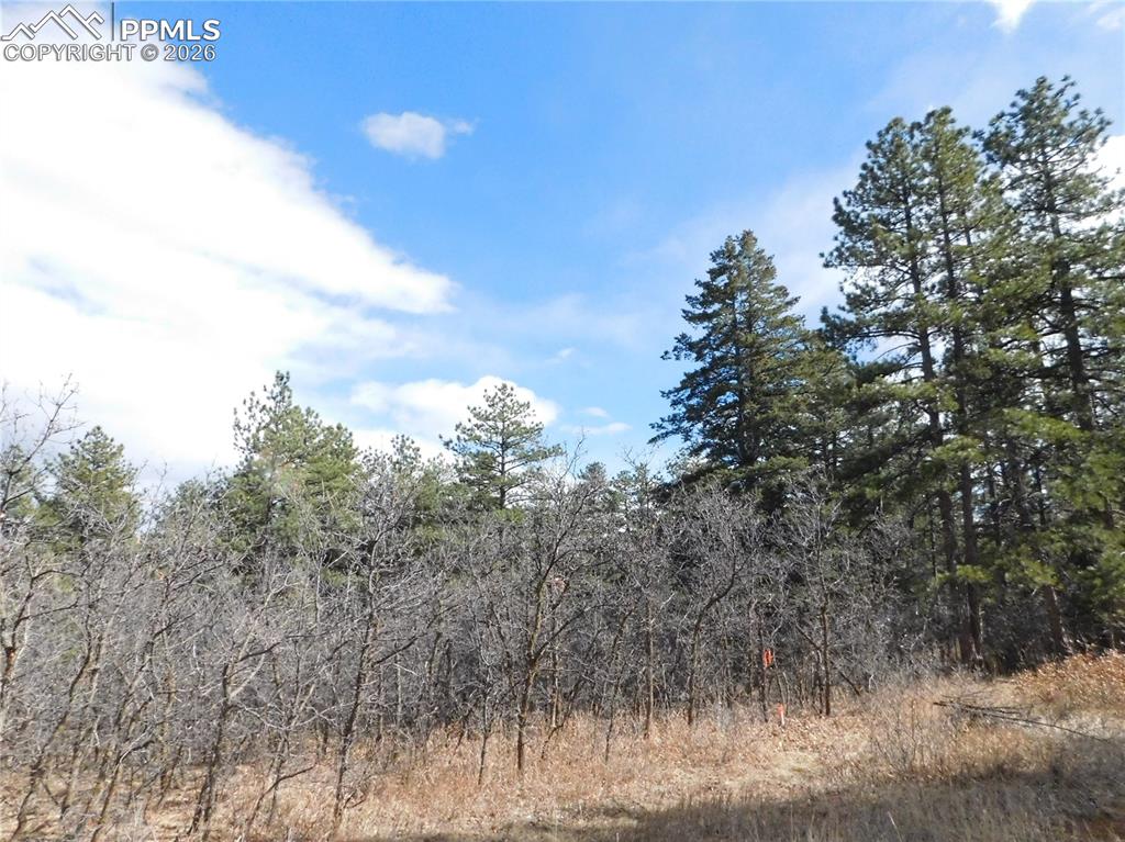 8122 Acoma Drive Larkspur CO 80118