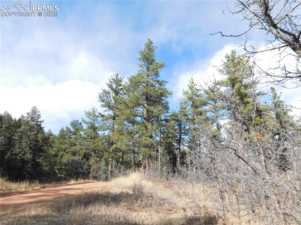 8122 Acoma Drive Larkspur CO 80118