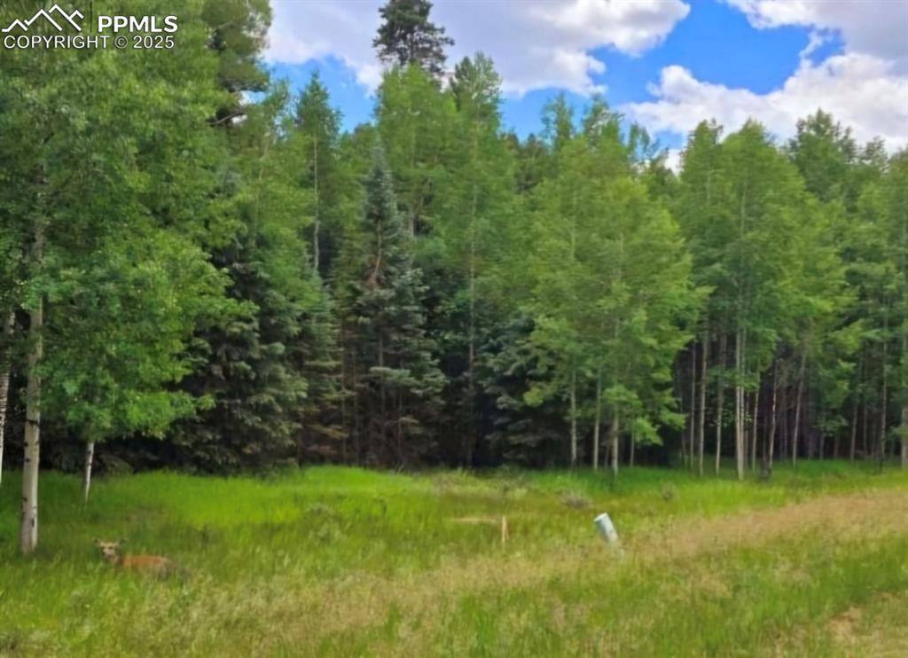 662 Spring Valley Lane Florissant CO 80816