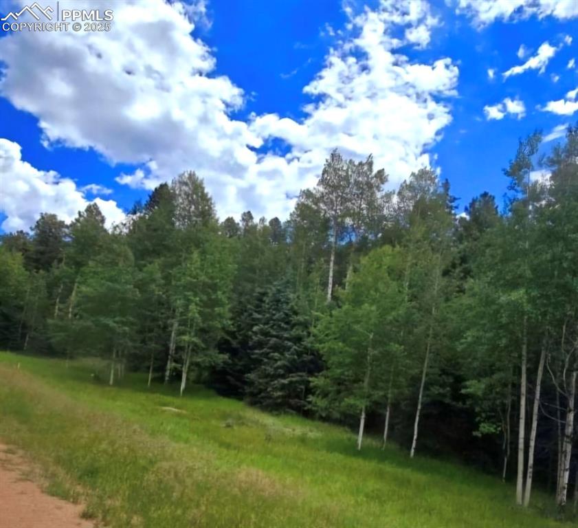 662 Spring Valley Lane Florissant CO 80816