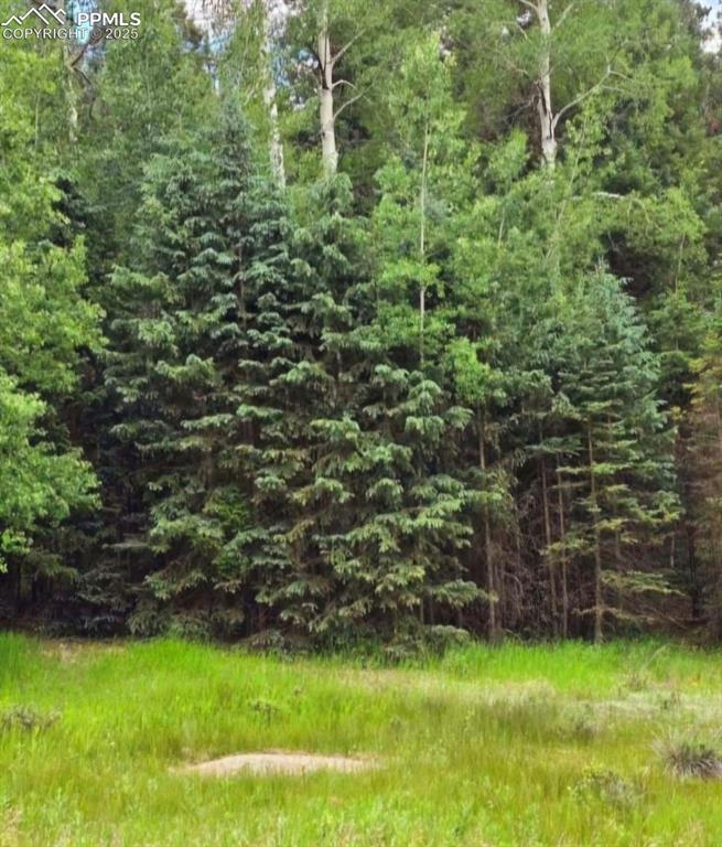 662 Spring Valley Lane Florissant CO 80816