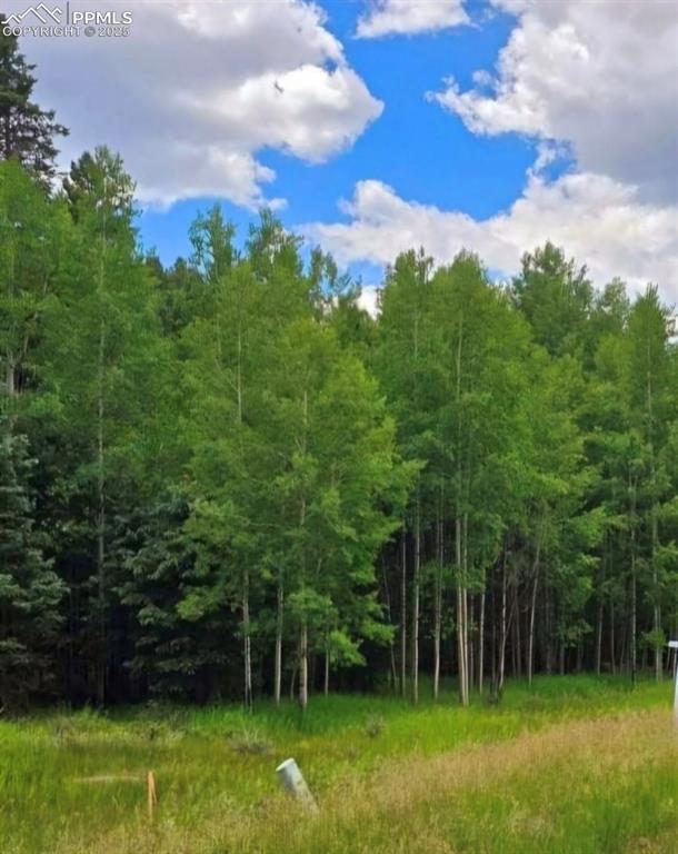 662 Spring Valley Lane Florissant CO 80816