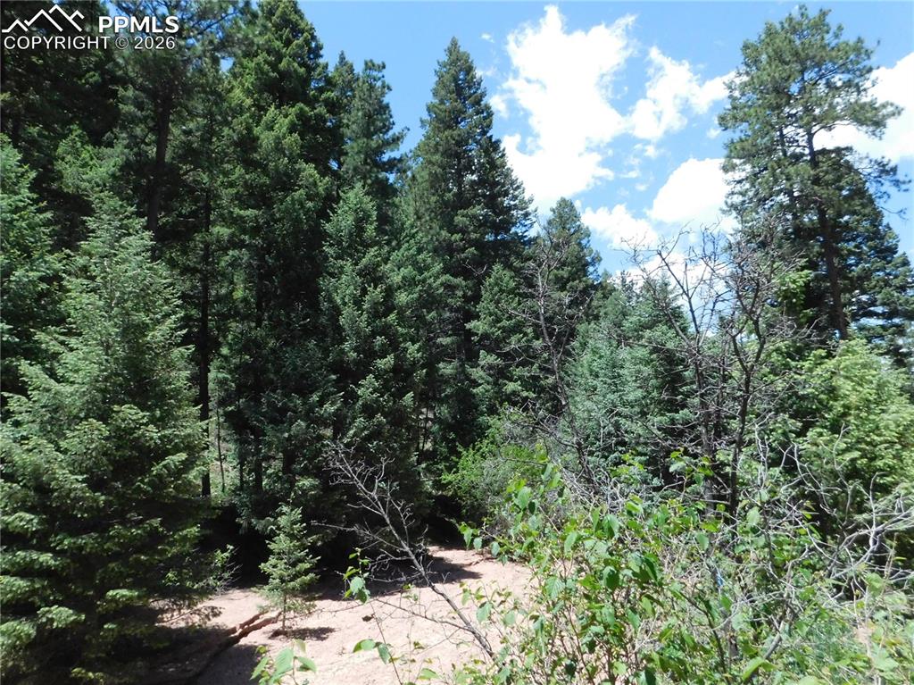 13175 Spruce Creek Circle Larkspur CO 80118