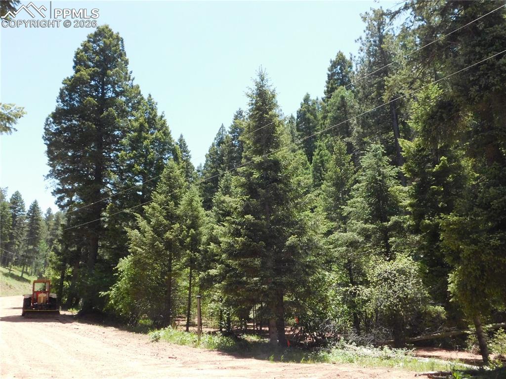13175 Spruce Creek Circle Larkspur CO 80118