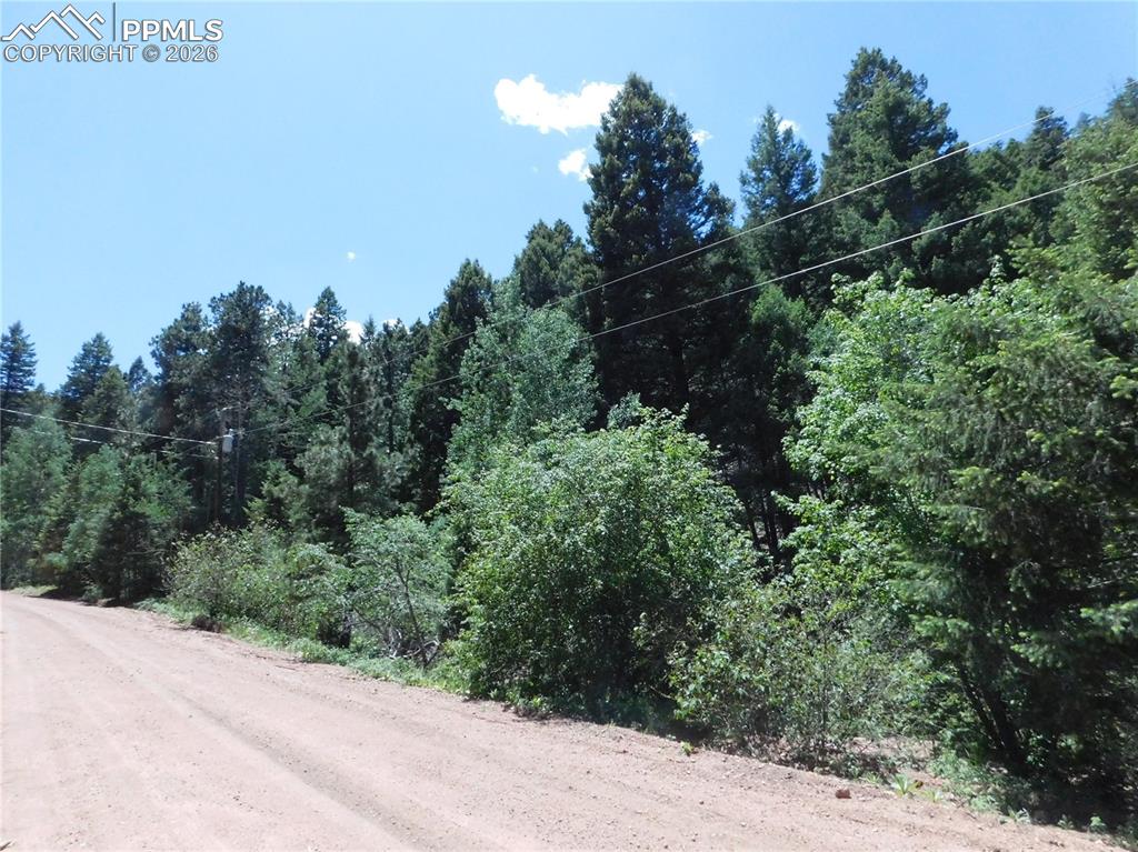 13175 Spruce Creek Circle Larkspur CO 80118