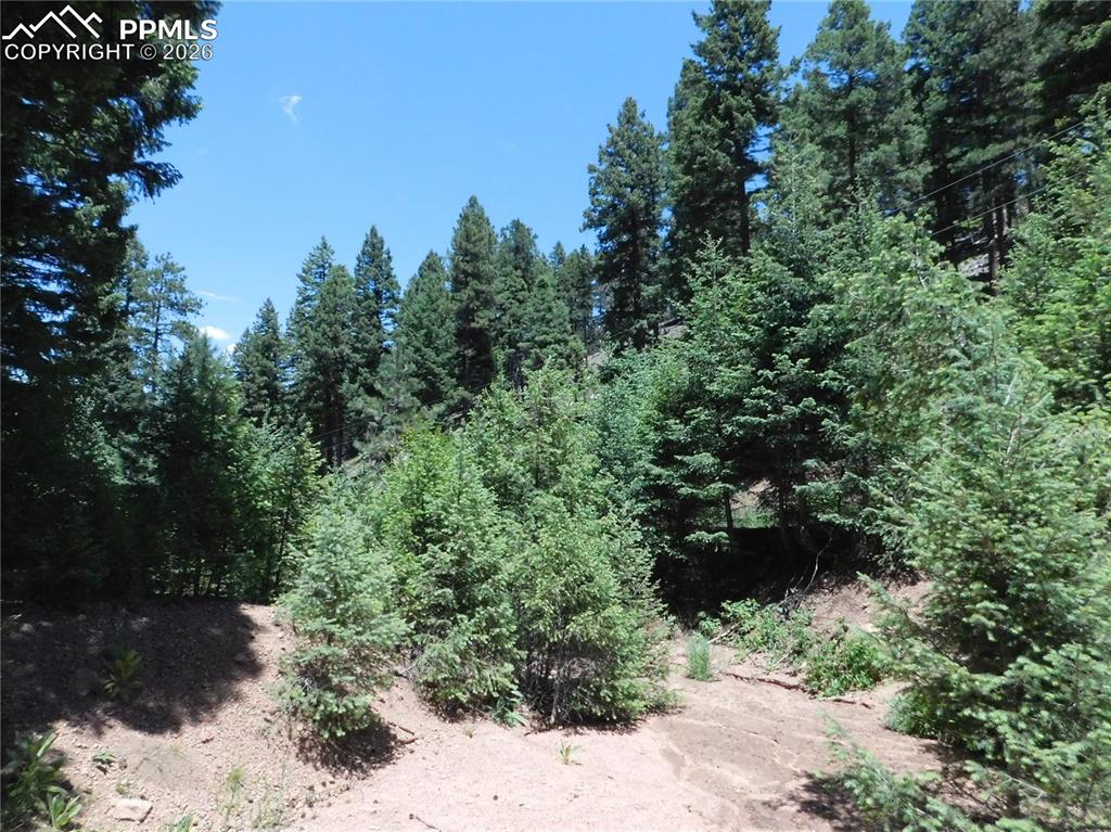 13175 Spruce Creek Circle Larkspur CO 80118