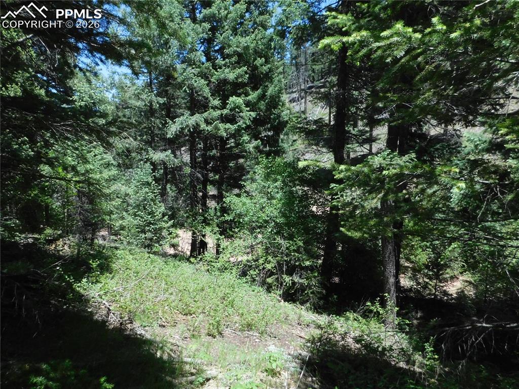 13175 Spruce Creek Circle Larkspur CO 80118