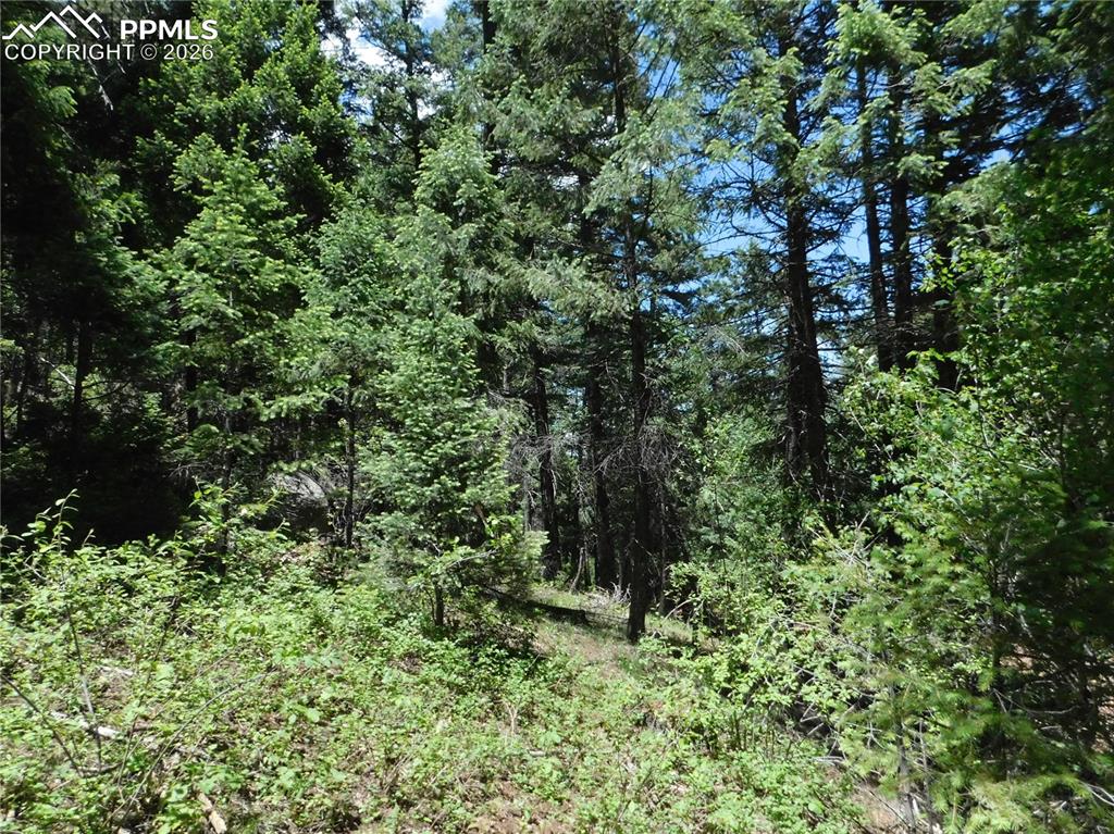 13175 Spruce Creek Circle Larkspur CO 80118