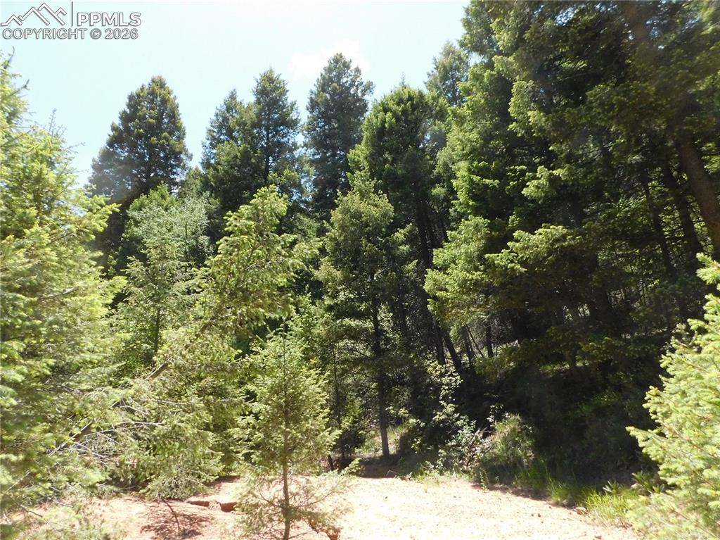 13175 Spruce Creek Circle Larkspur CO 80118