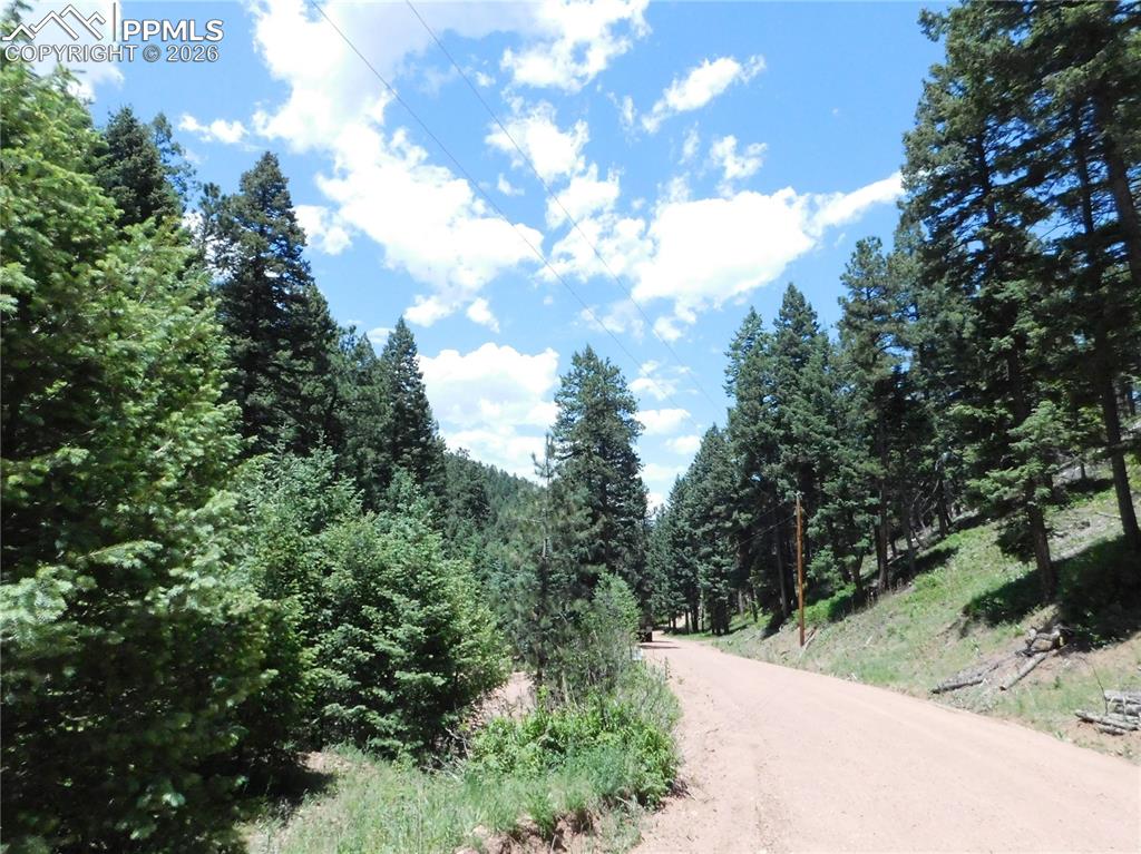 13175 Spruce Creek Circle Larkspur CO 80118