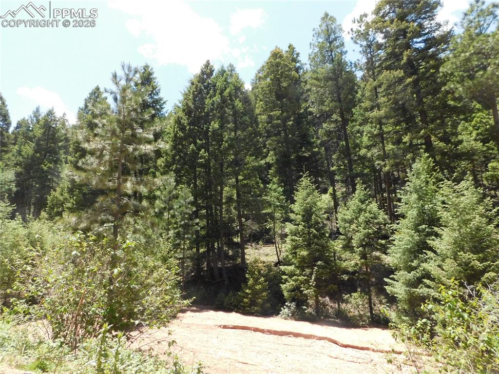13175 Spruce Creek Circle Larkspur CO 80118