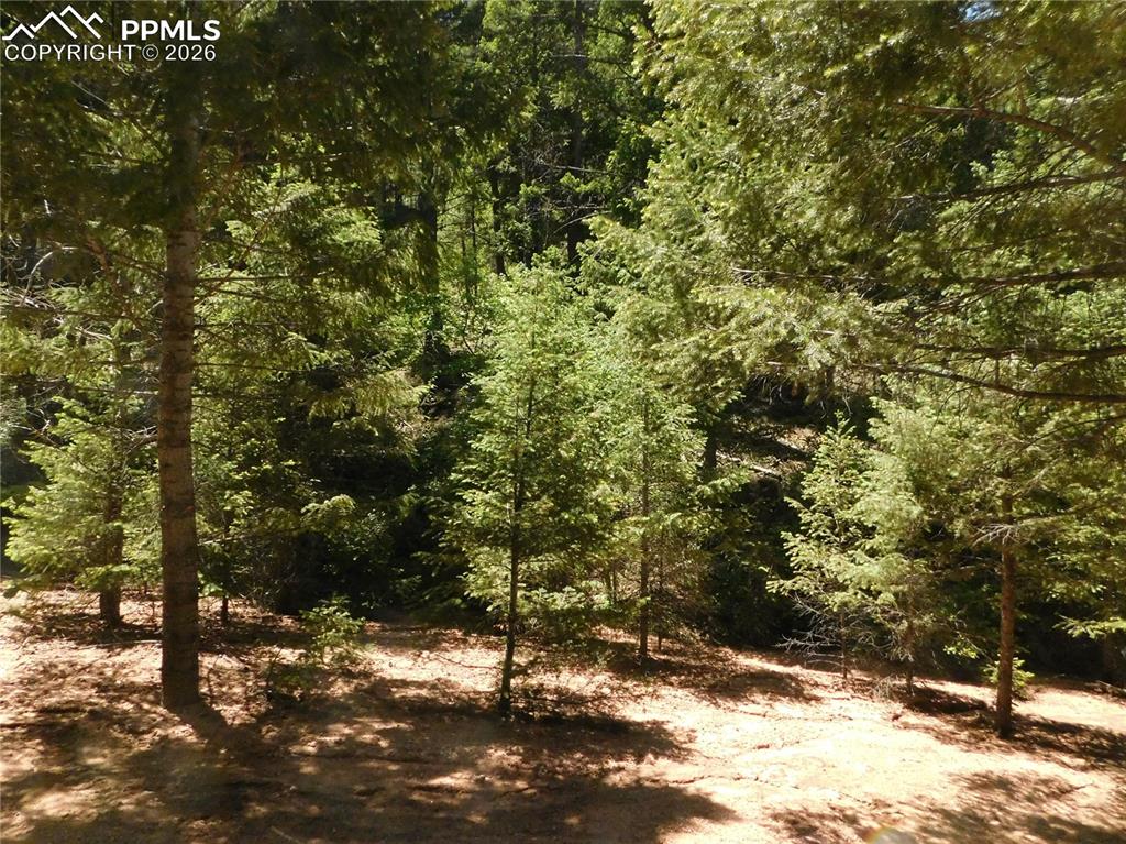 13175 Spruce Creek Circle Larkspur CO 80118
