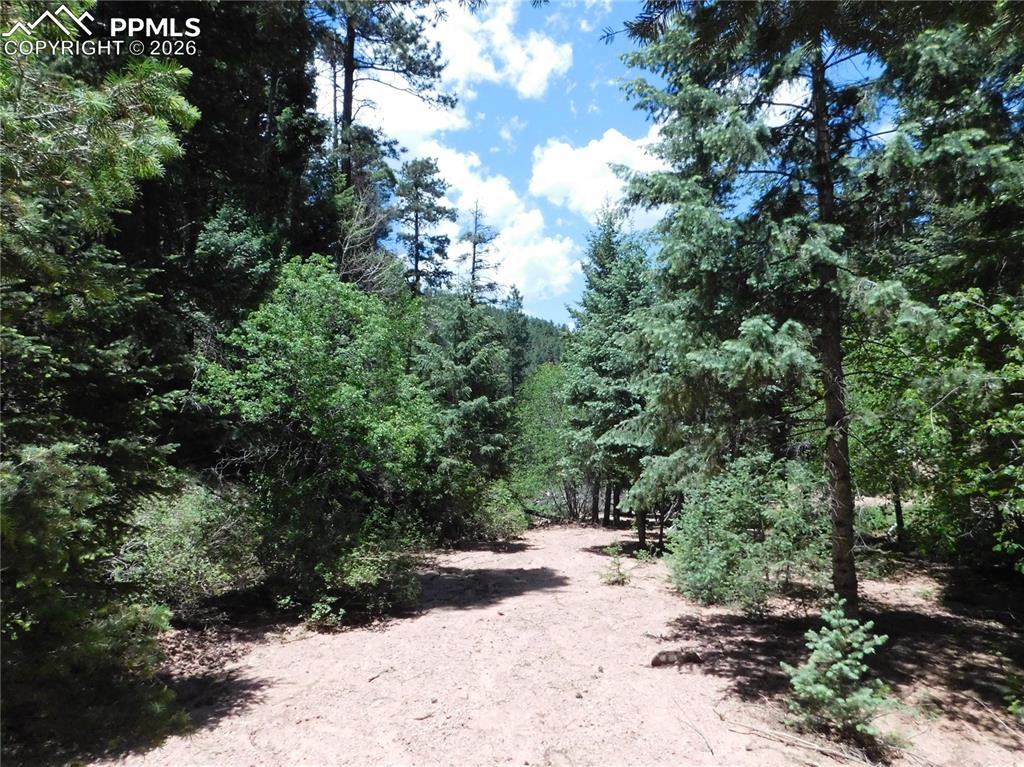 13175 Spruce Creek Circle Larkspur CO 80118