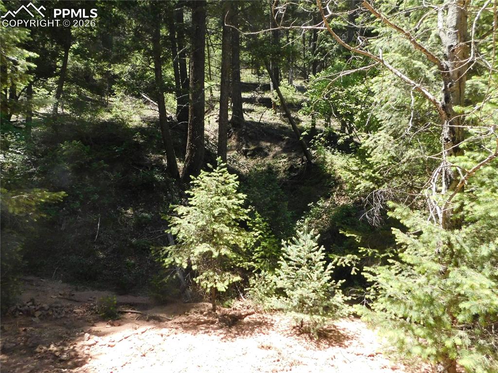 13175 Spruce Creek Circle Larkspur CO 80118