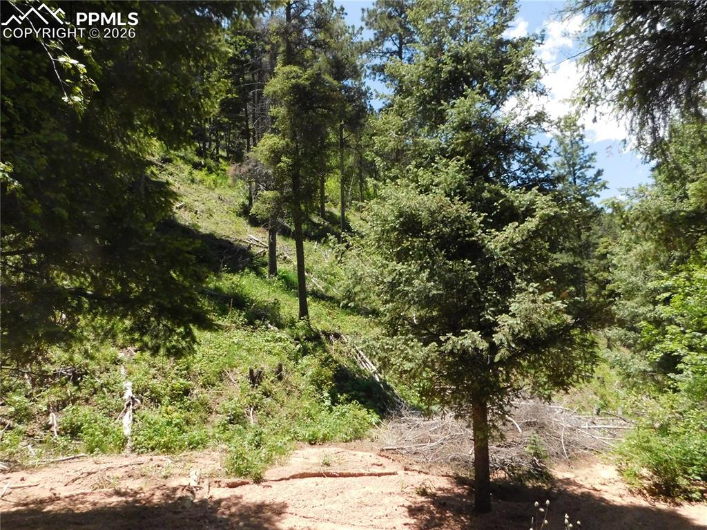 13175 Spruce Creek Circle Larkspur CO 80118