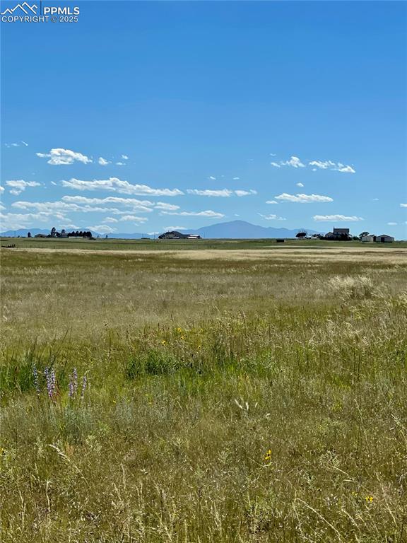 11950 N Log Road Peyton CO 80831