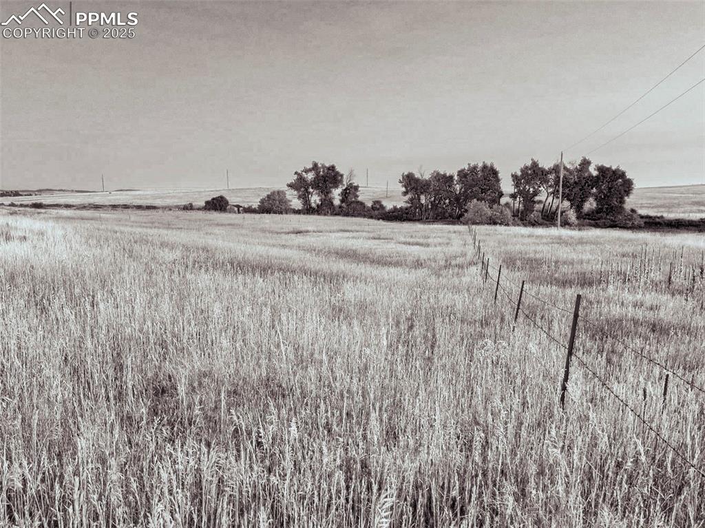 11950 N Log Road Peyton CO 80831