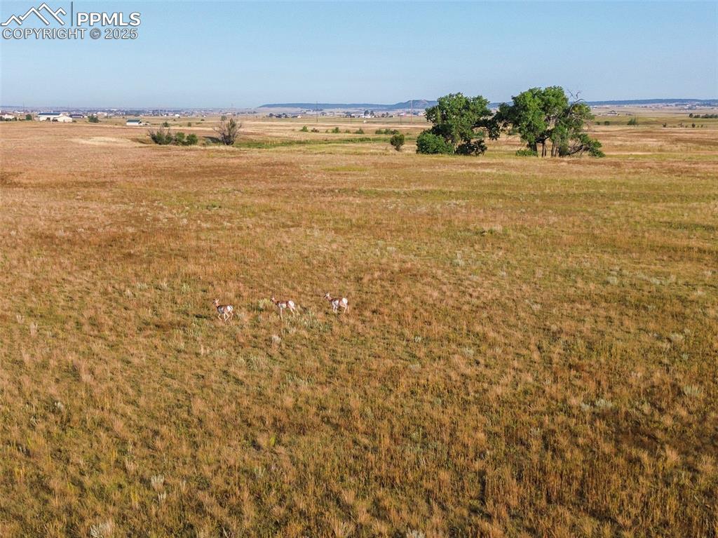 11950 N Log Road Peyton CO 80831