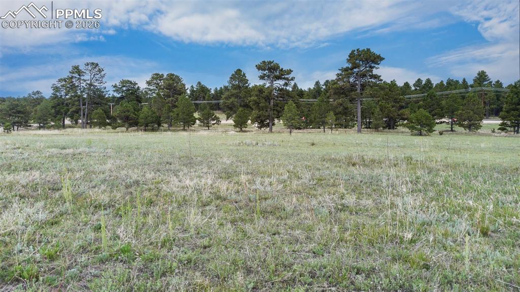 11809 Flap Jack Lane Colorado Springs CO 80908