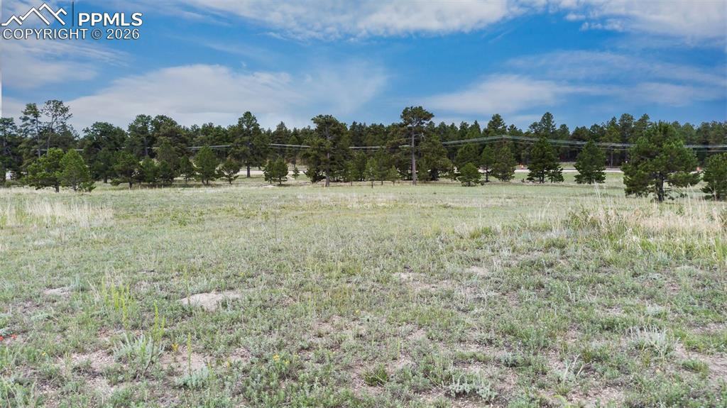 11809 Flap Jack Lane Colorado Springs CO 80908